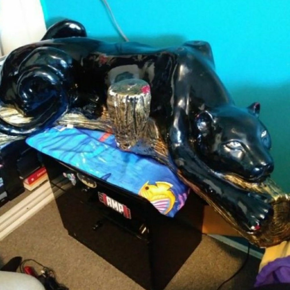 Black jaguar